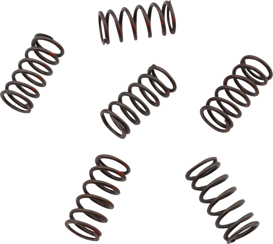 KG POWERSPORTS Clutch Spring Set KGS-802