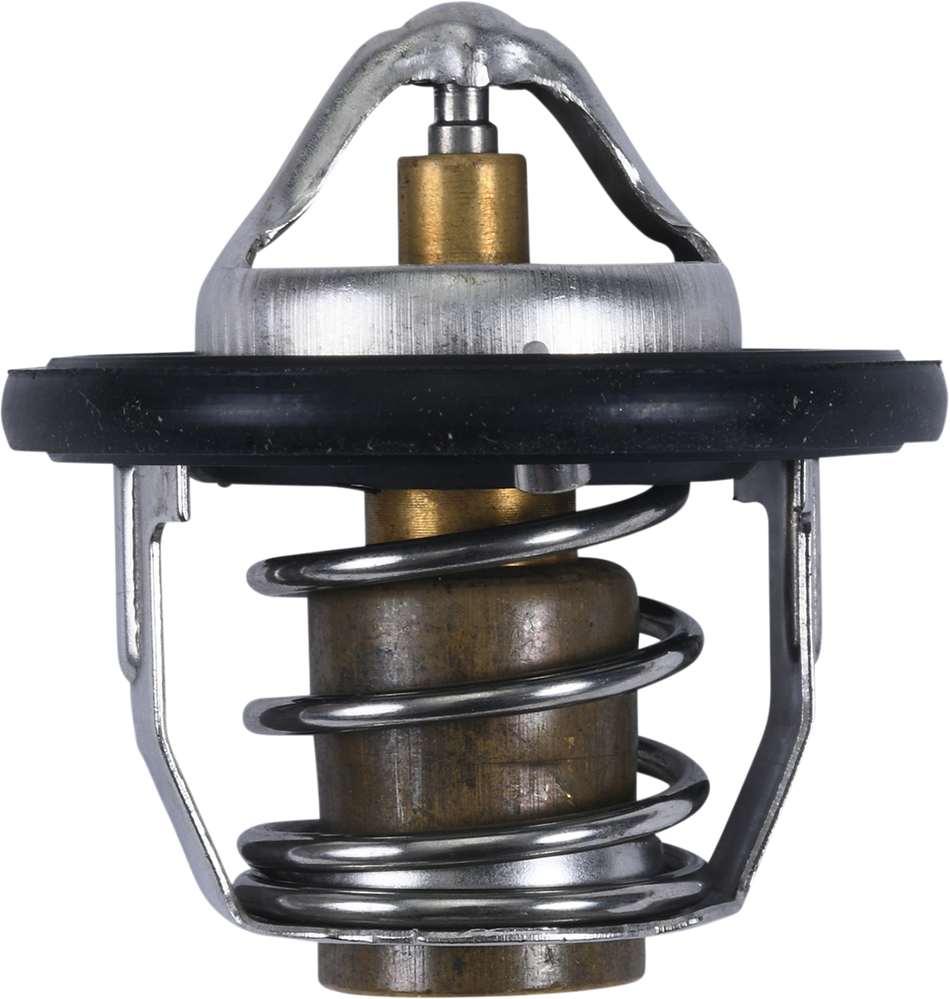 ALL BALLS Thermostat - Polaris 16-3005