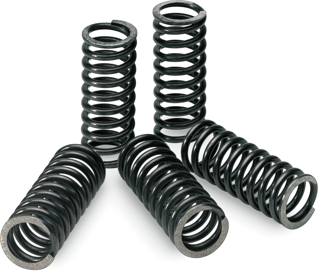 PRO CIRCUIT Clutch Springs CSK10250-CS