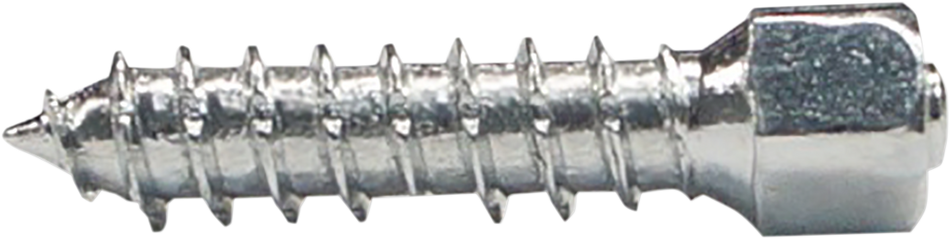 WOODY'S Twist Tire Screws - 25 mm - 100 Pack WST-0625-100