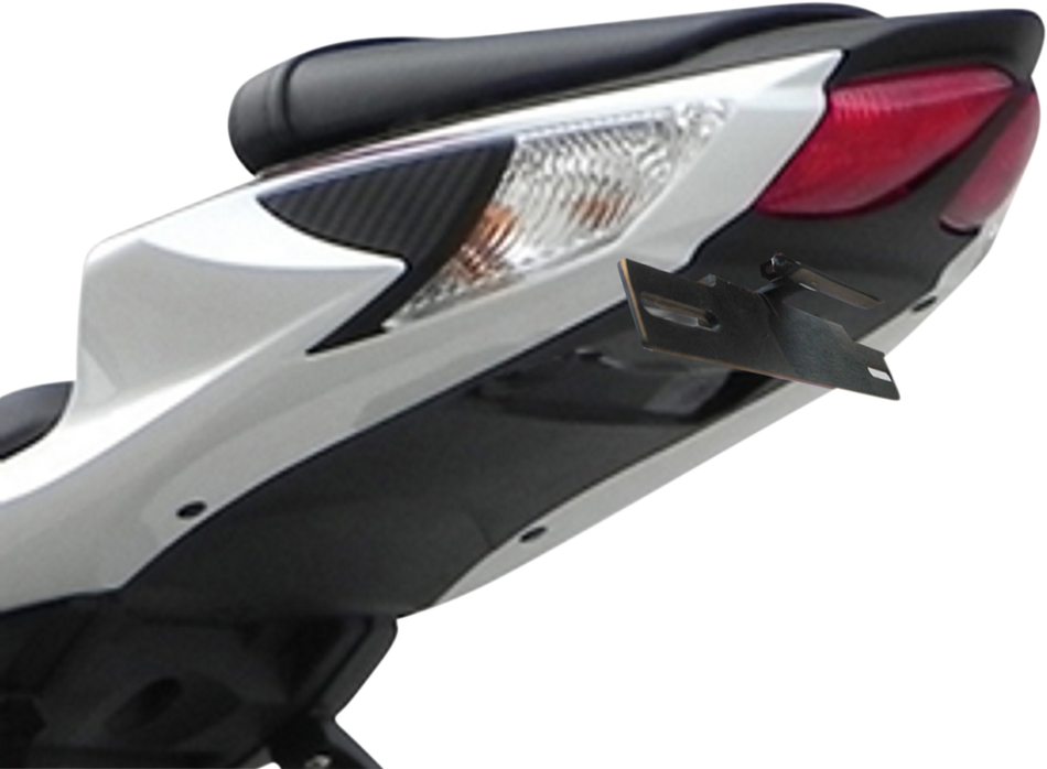 TARGA Tail Kit with Signals - GSXR STD '17-'18 22-373-L