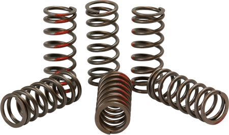 PRO CIRCUIT Clutch Springs CST12350