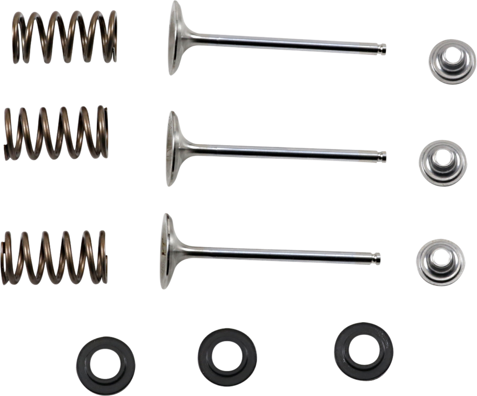 XCELDYNE Intake Valve Kit X2VIK43000