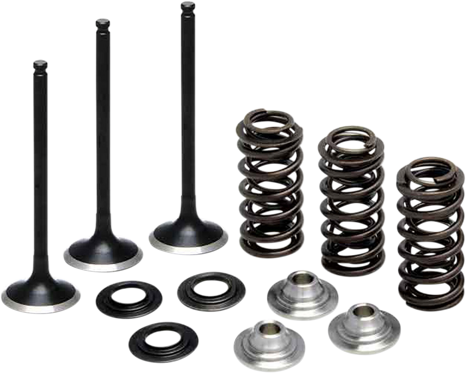 KIBBLEWHITE Valve Spring Kit 80-80850