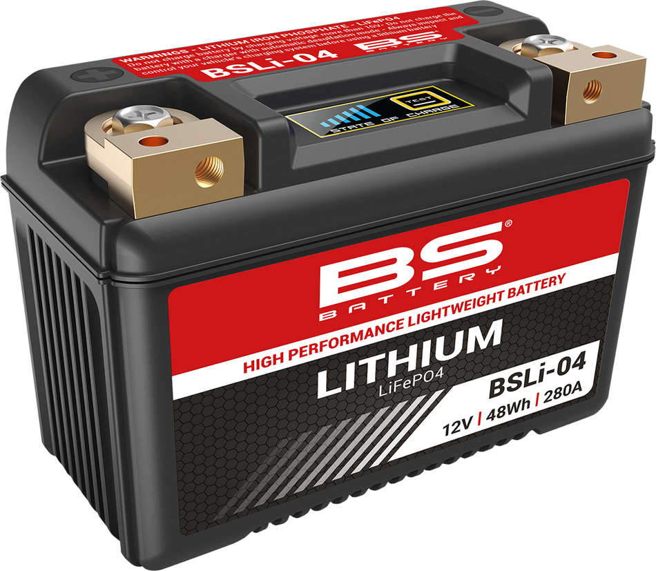 BS BATTERY Lithium Battery - BSLi-04/06 360104