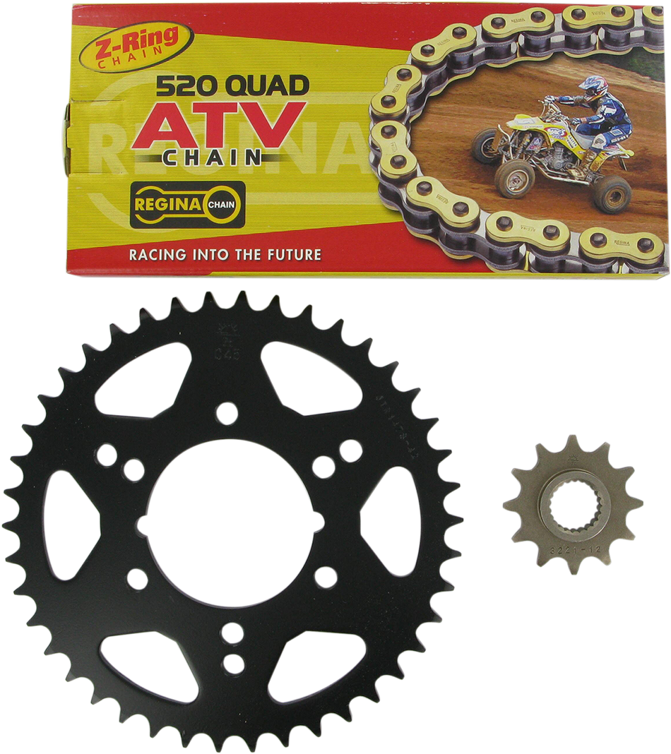 REGINA Chain and Sprocket Kit - Polaris - Trail Boss 250 - '95-'99/Trail Blazer 250 - '96-'99 5QUAD/088KPO001