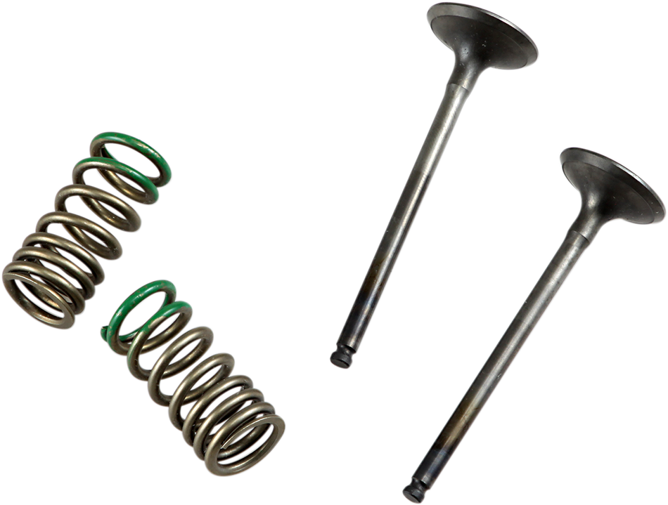 PROX Valve and Spring Kit 28.SES2402-1