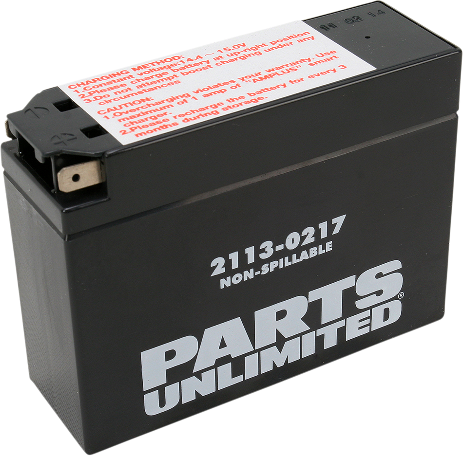 Parts Unlimited Agm Battery - Yt4b-Bs Ct4b-5