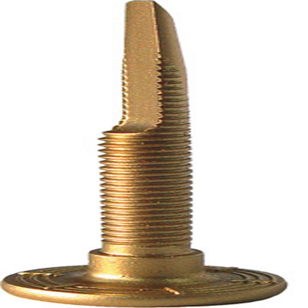 Woodys Chisel Tooth T.M Stud 1630 X 5/16 (48) CAP1630-S