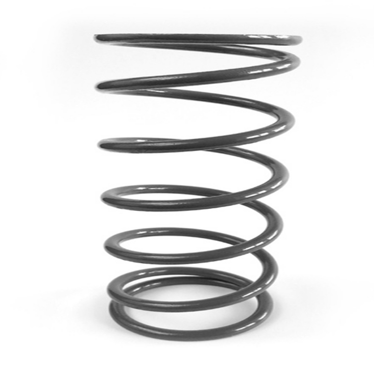 Epi Secondary Spring - Silver 328965