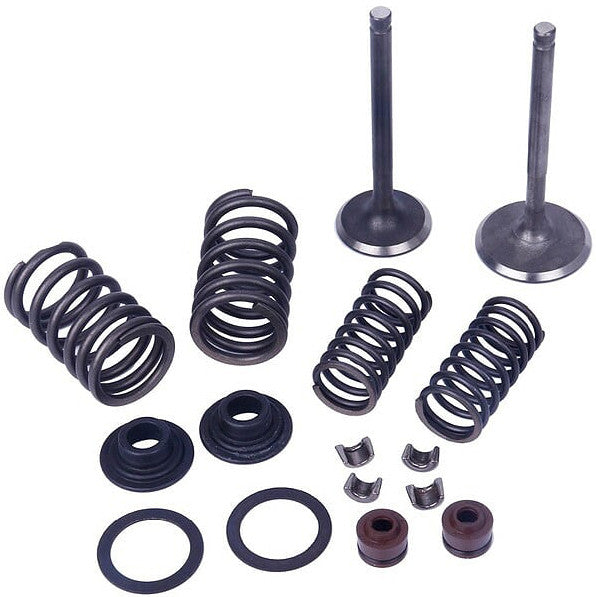 MOGO PARTSValve Kit V-125/15061-0220