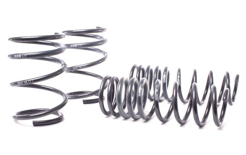 H&R 04-06 BMW 525i/530i/545i E60 Race Spring (w/o Self Leveling) 50460-88