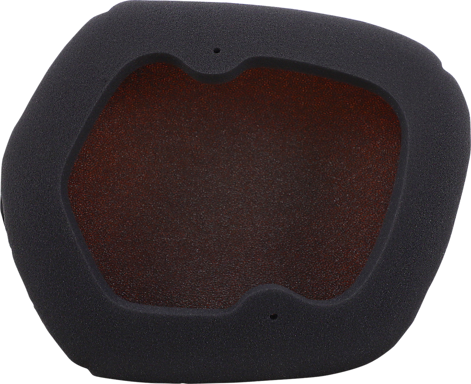 TWIN AIR Ersatz-Backfire-Filter 154224FR