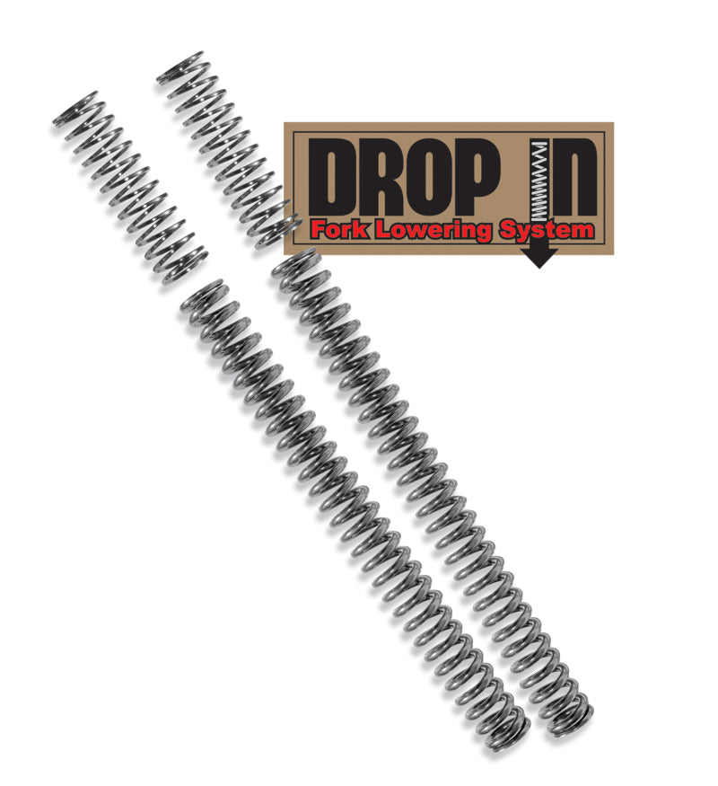 Progressive Metric Drop In Fork Lowering Spring Kits 10-2202