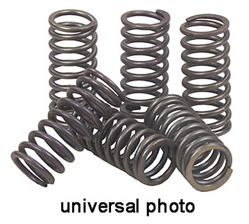 Ebc Clutch Springs 161856