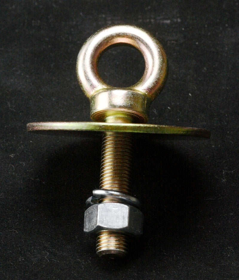 RaceQuip Long Eye Bolt - 7/16-20 Flr Mnt Kit 700060