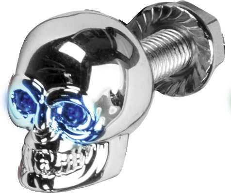 HARDDRIVE Lighted Skull Lic Plate Screw Blue H040079